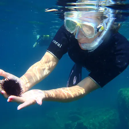 καρύστιον Ξενοδοχείο Κάρυστος