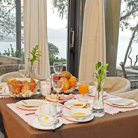 καρύστιον 2*