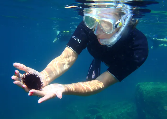 Karystion Hotel Karystos (Evia)